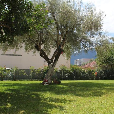 Holiday Lefkas Moonlight Luxury Appartments Nikiana Exteriör bild